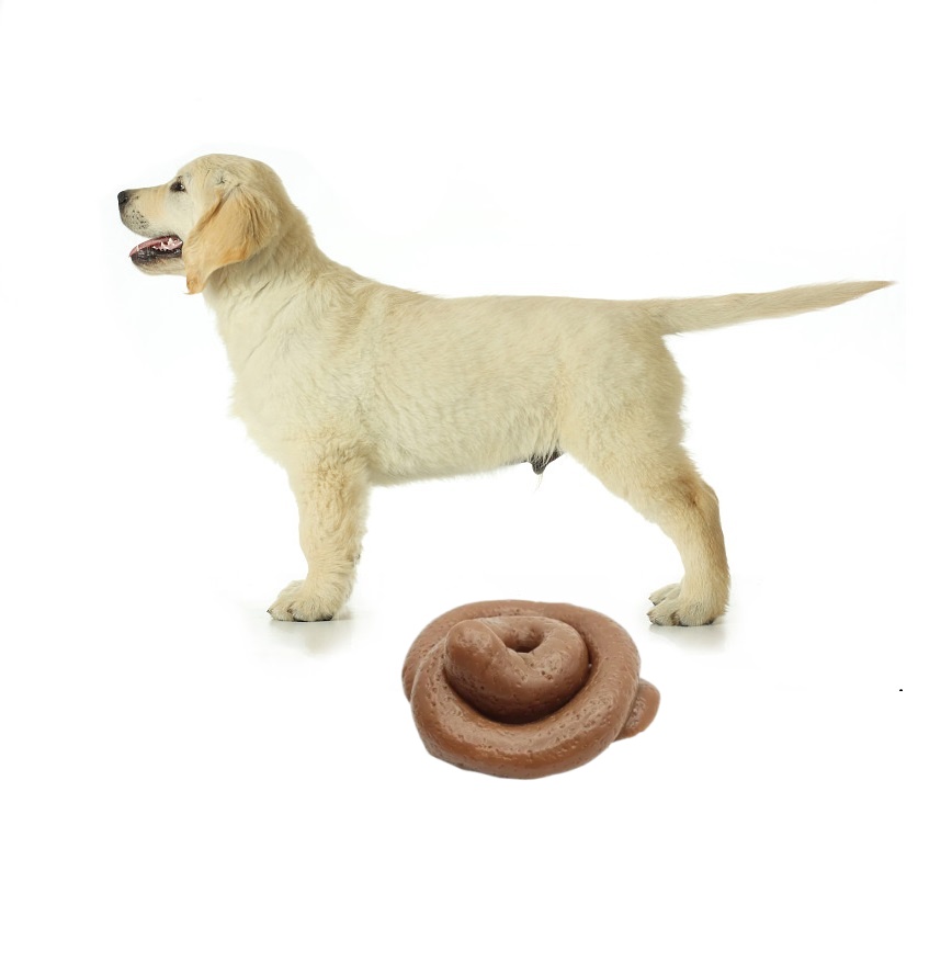 Fake Poop Gag Gift - Brinquedo Engraçado de Cocô Macio -