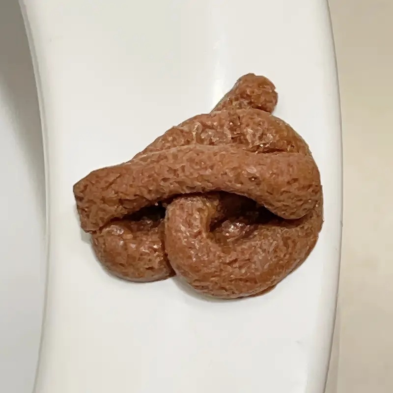 Brinquedo de brincadeira de co - Fake Poop Gag Gift avaliação e preço