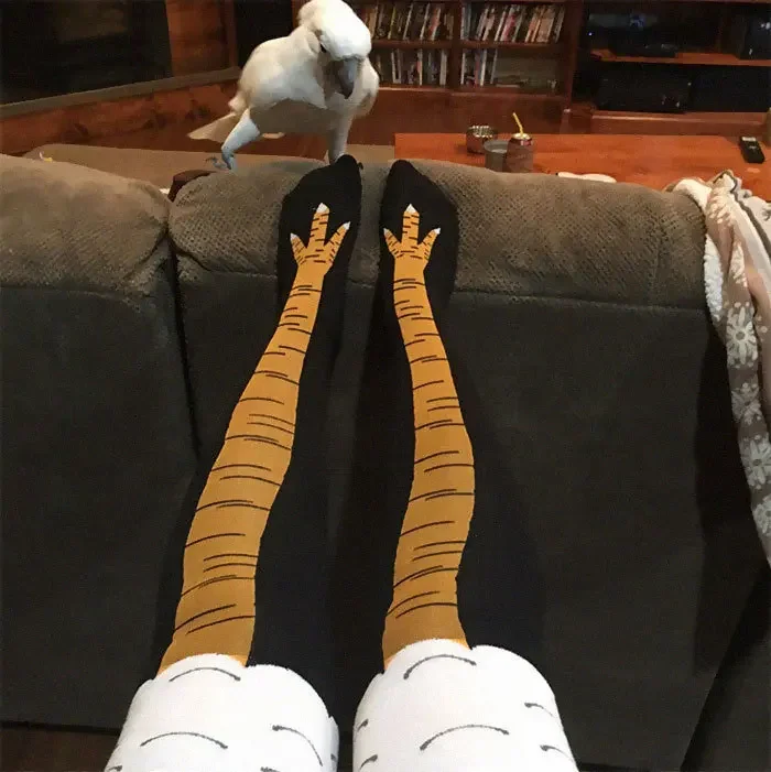 3D Funny Chicken Claw Socks pa - Funny Chicken Leg Socks avaliação e preço