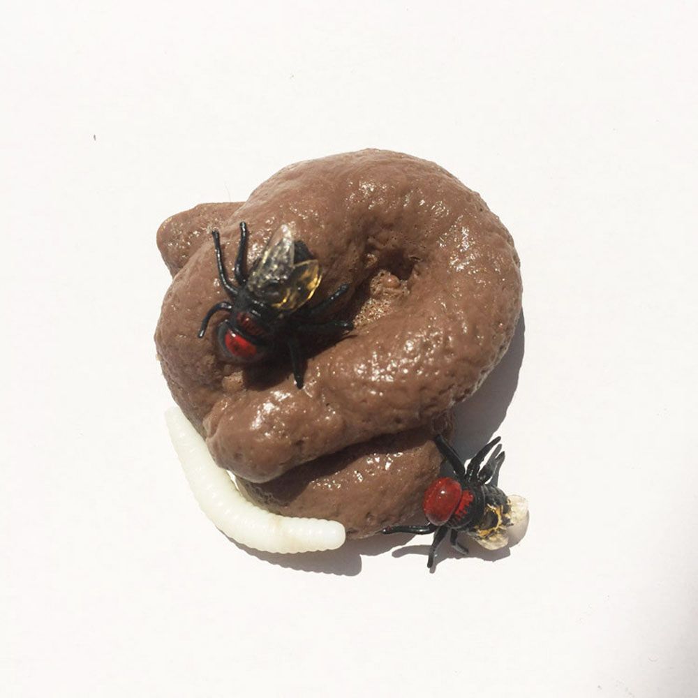 Brincadeira realista falso mer - Fake Poop Gag Gift avaliação e preço